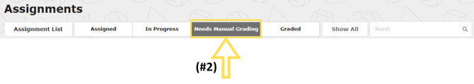 ManualGradingRequired2